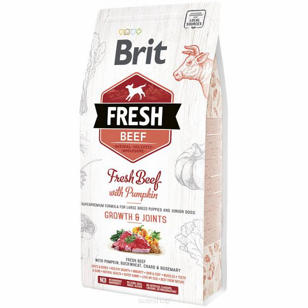 BRIT FRESH BEEF WITH PUMPKIN PUPPY LARGE 2,5 KG